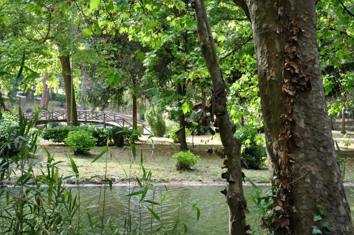 Paisagem natural perto do hotel