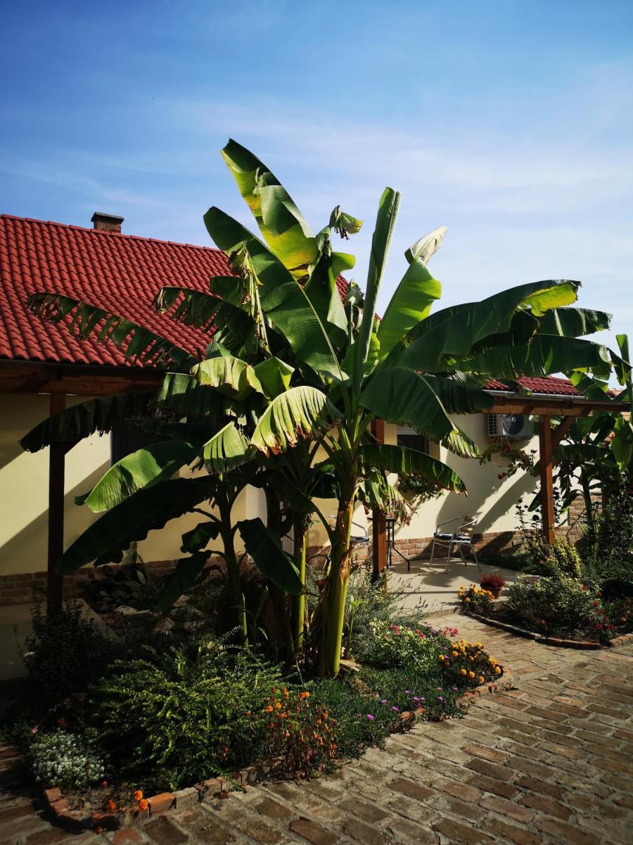 Ráday Apartman - Housity