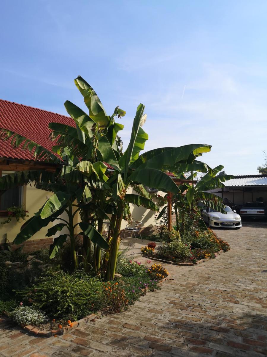 Ráday Apartman - Housity