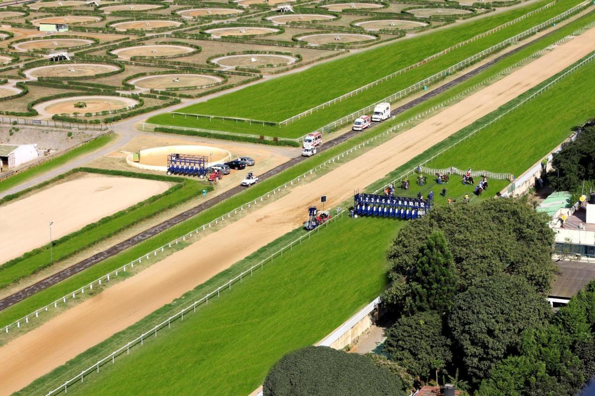 an aerial view of a park with cars on a road at Holiday Inn Bengaluru Racecourse by IHG in Bengaluru an aerial view of a park with cars on a road at Holiday Inn Bengaluru Racecourse by IHG in Bengaluru