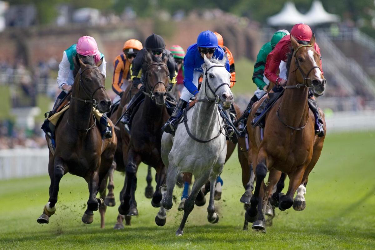 Holiday Inn Express, Chester Racecourse by IHG - Hizvo