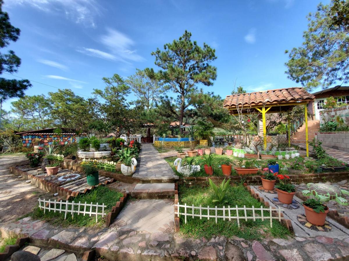 Hotel y Restaurante Las Margaritas - Housity