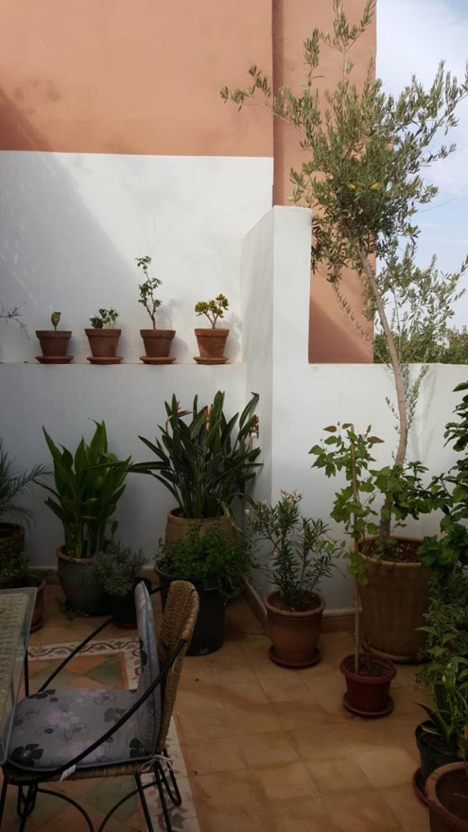 Riad Medina - Housity