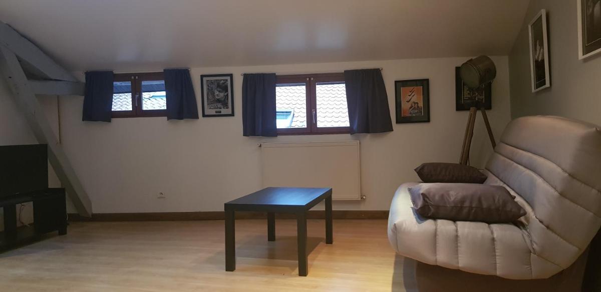 Ciné Loft 55 m2 Centre Ville - Housity