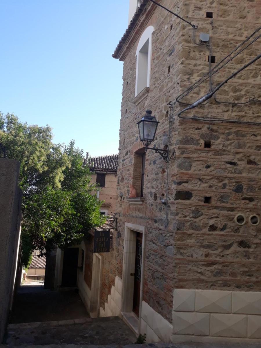 La Gatta sul Tetto - Housity