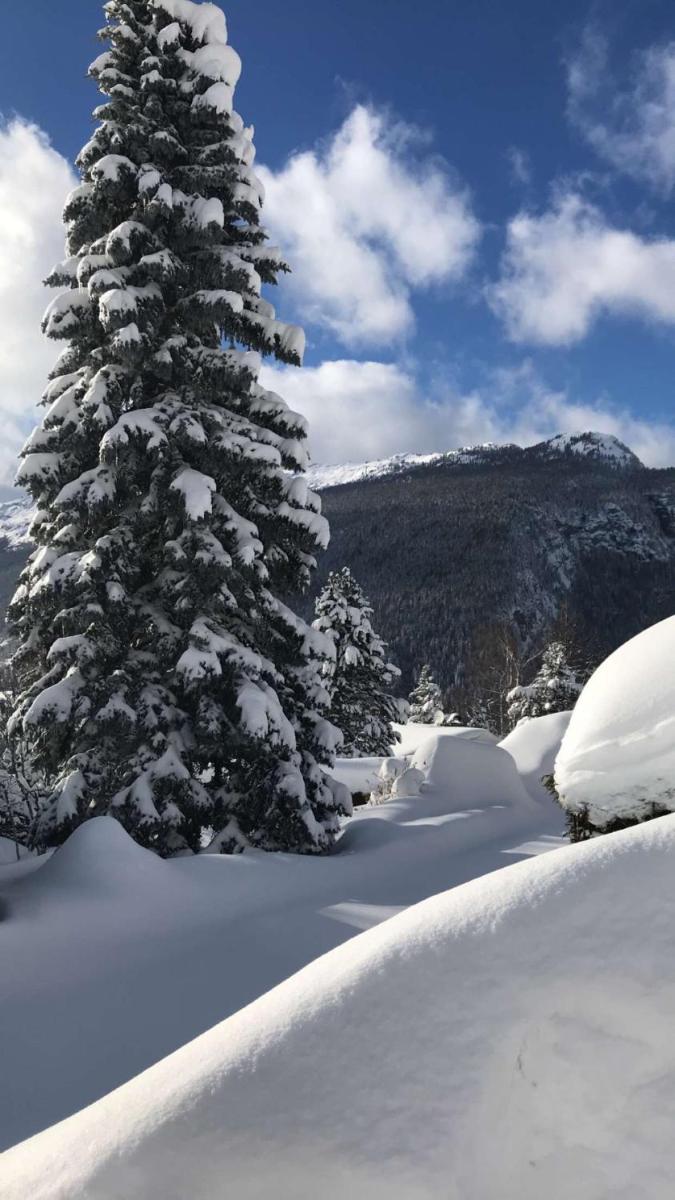L'établissement Hôtel et Spa Le Vermont en hiver