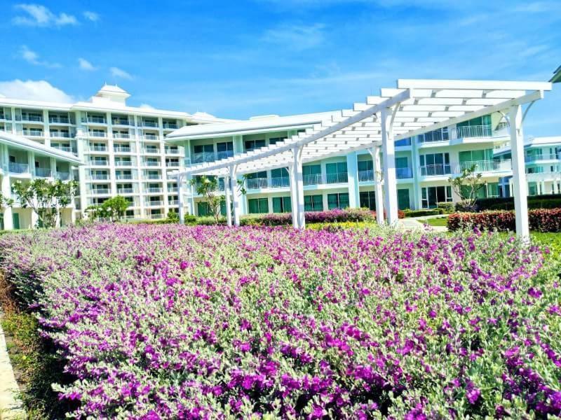 the energy huahin - Housity