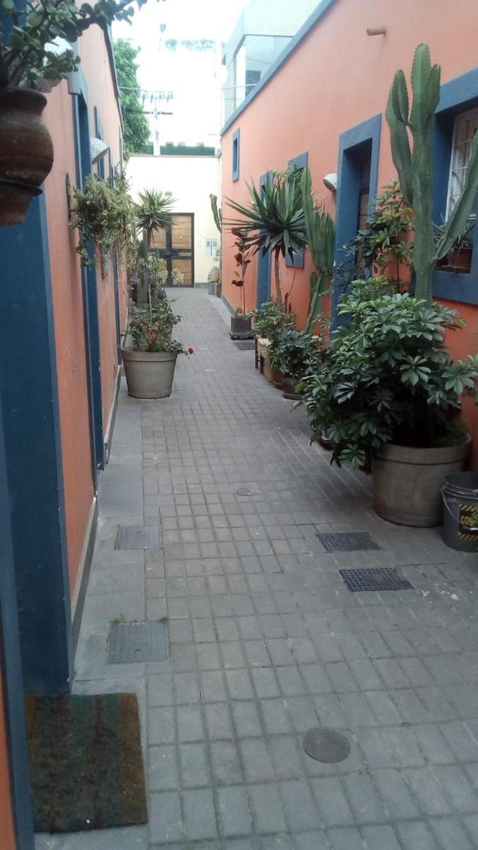 Mini  in Miraflores - Housity