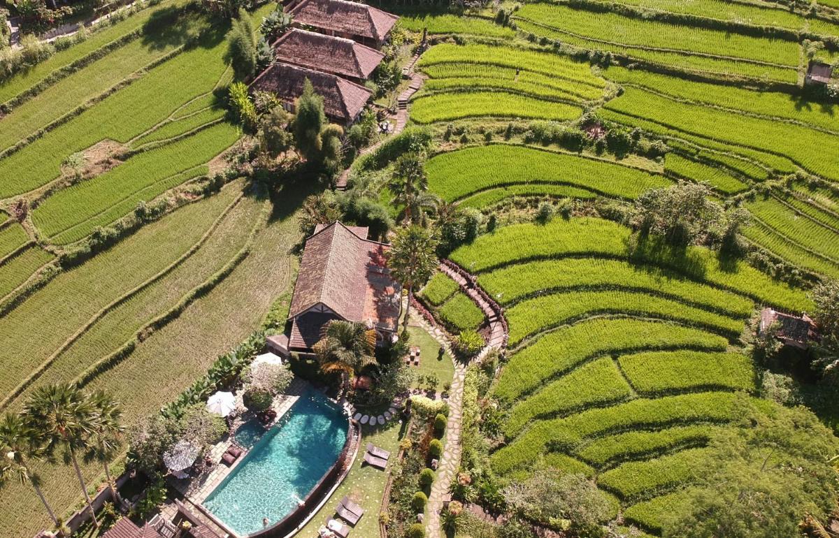 Sawah Indah Villa - Housity