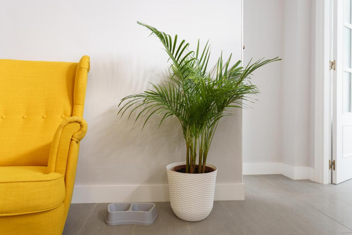 Apartamentos Circulo De Artistas - Housity