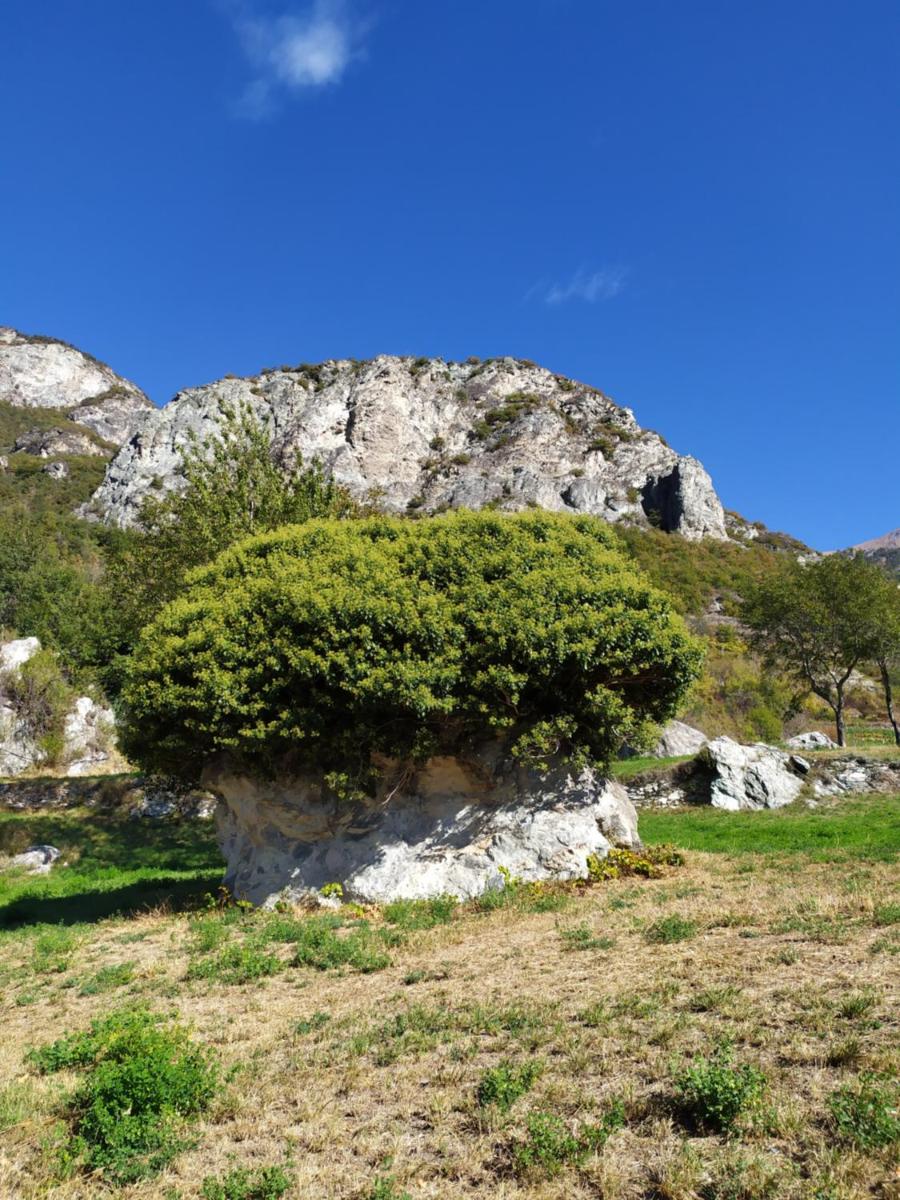 Chez Lucie CIR 0010 - Housity