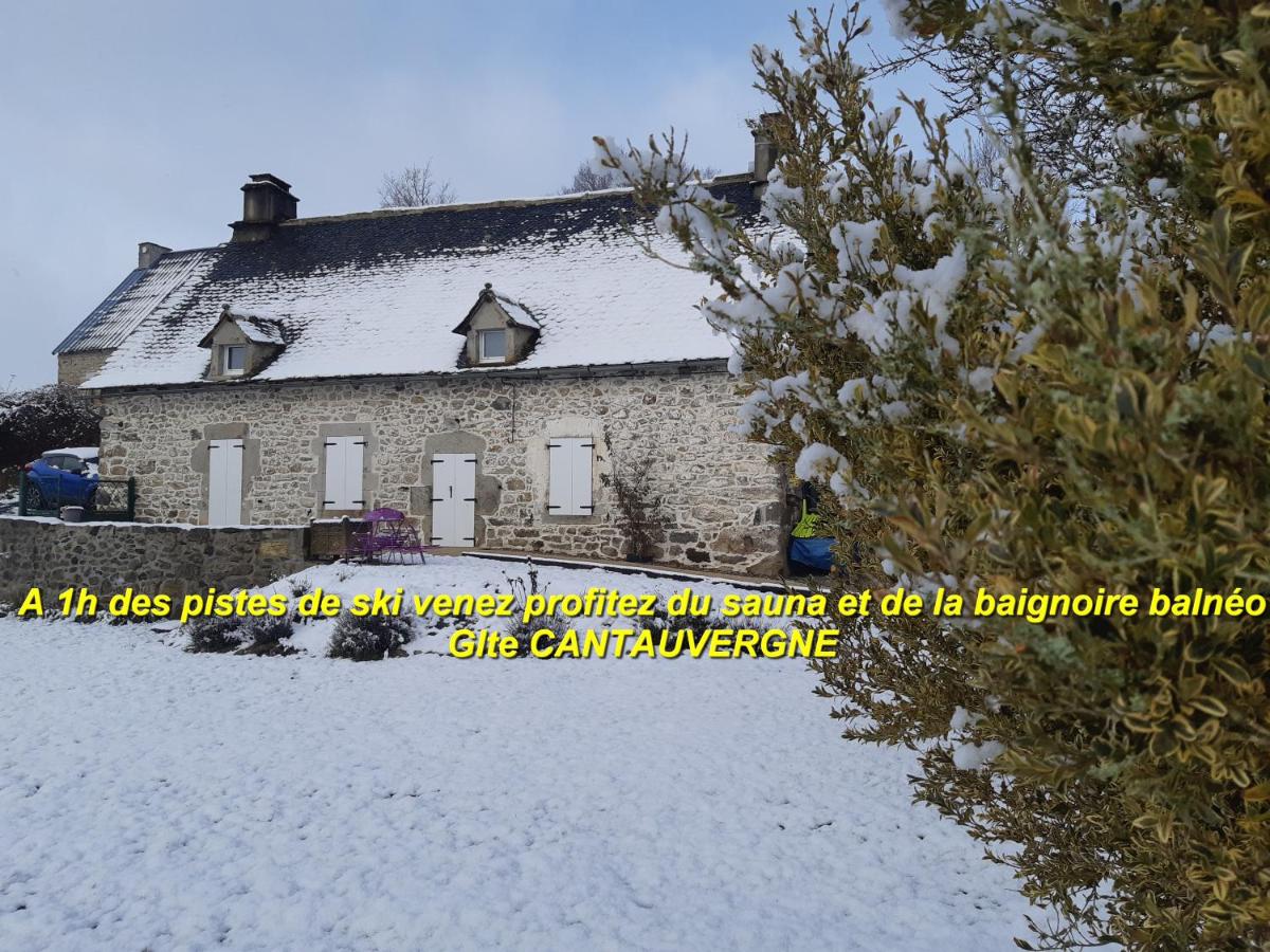 Gite CANTAUVERGNE - Housity