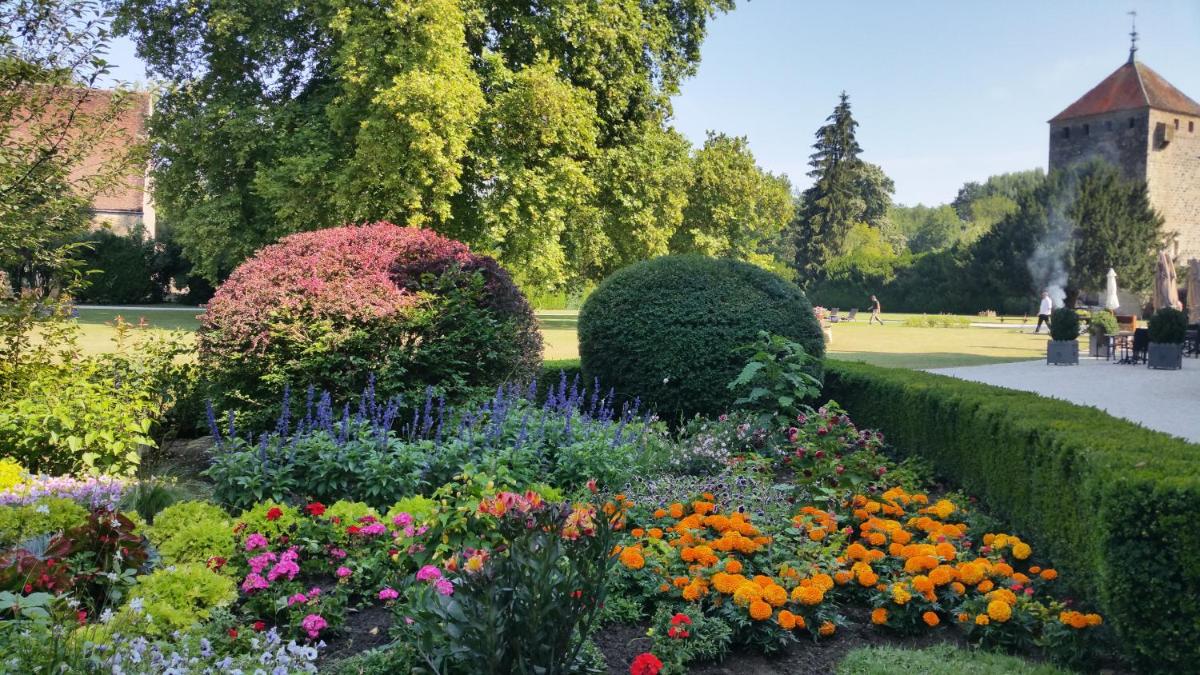 Jardin de l'établissement Château de Vault de Lugny