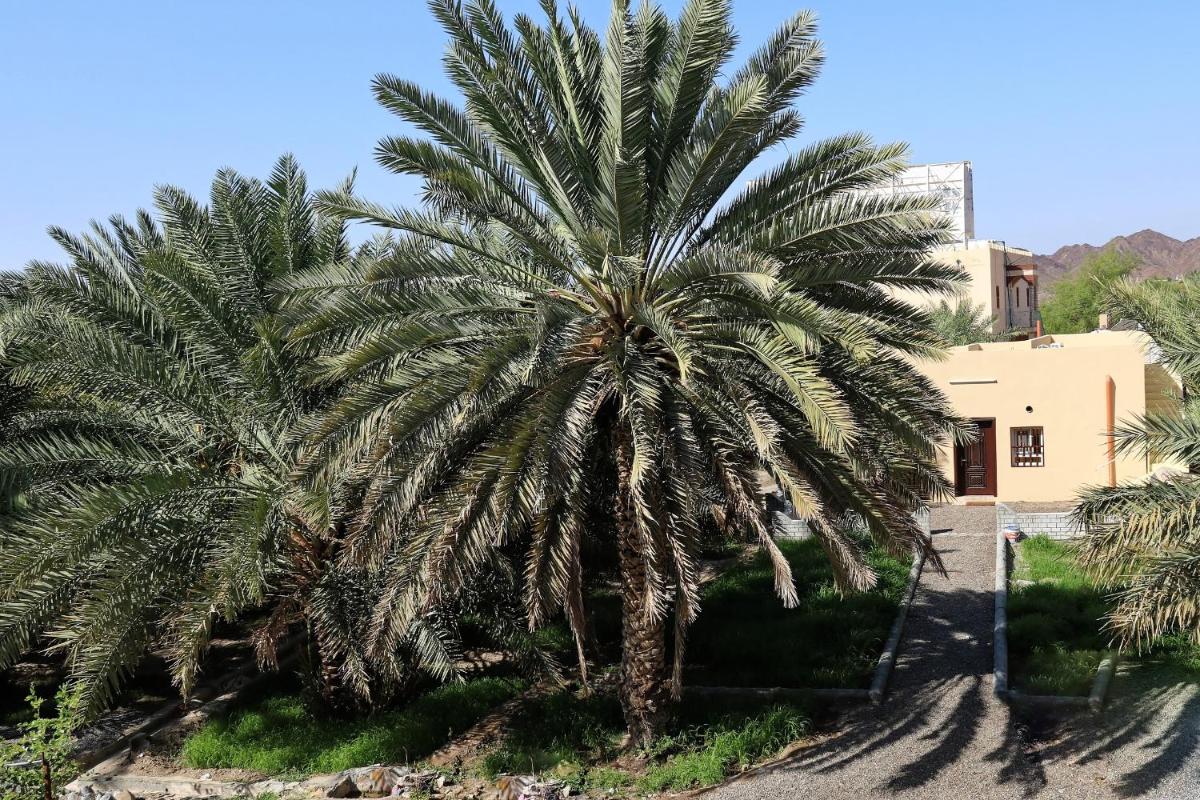 Bait Bahla Hospitality Inn - Housity