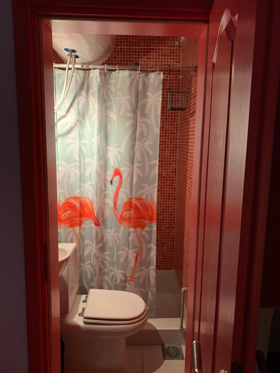 Regent Apartment - Housity