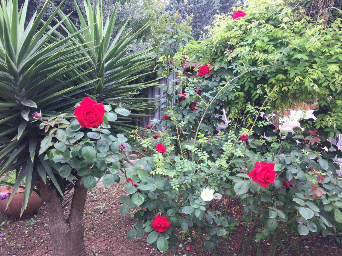 Il Giardino della Foglia - Housity