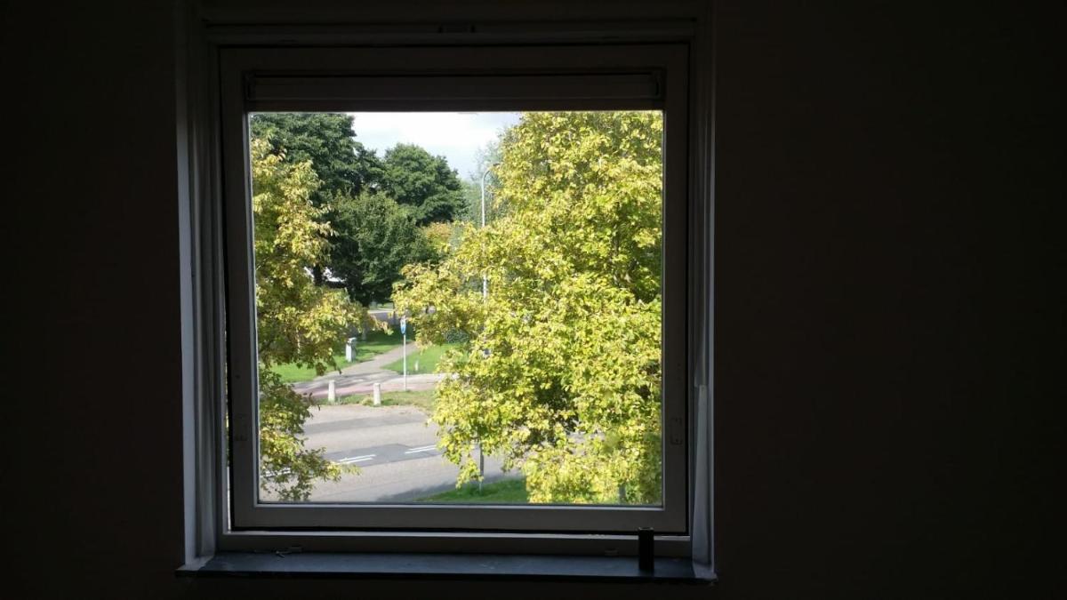 Little Amsterdam - Housity