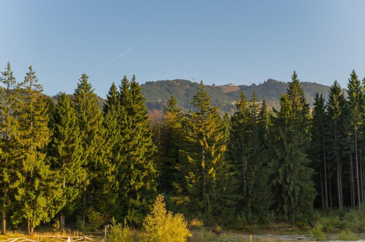 Nature Retreat 2 bedroom apartment Silver Mountain - Housity
