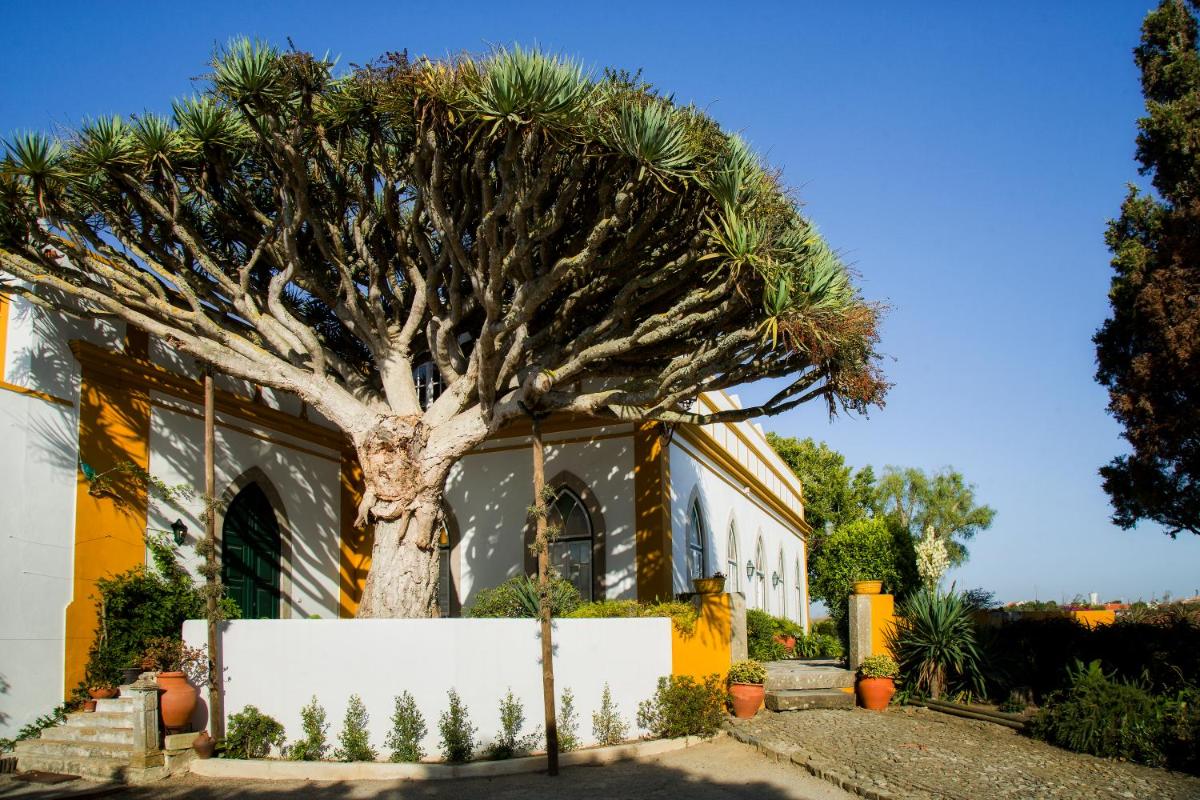 Casa do Castelo - Turismo de Habitação - Housity