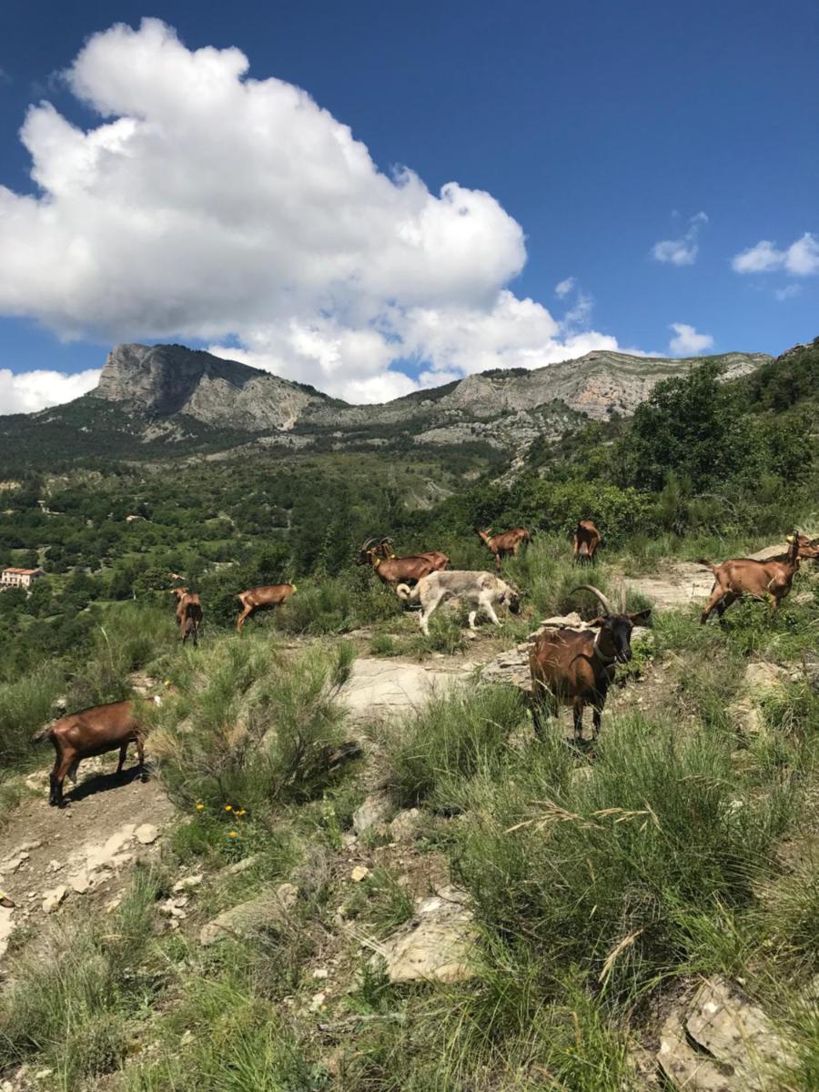 Gîte à la ferme La Bedigue - Housity
