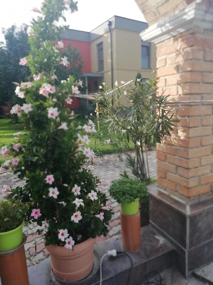 Haus Maria - Housity