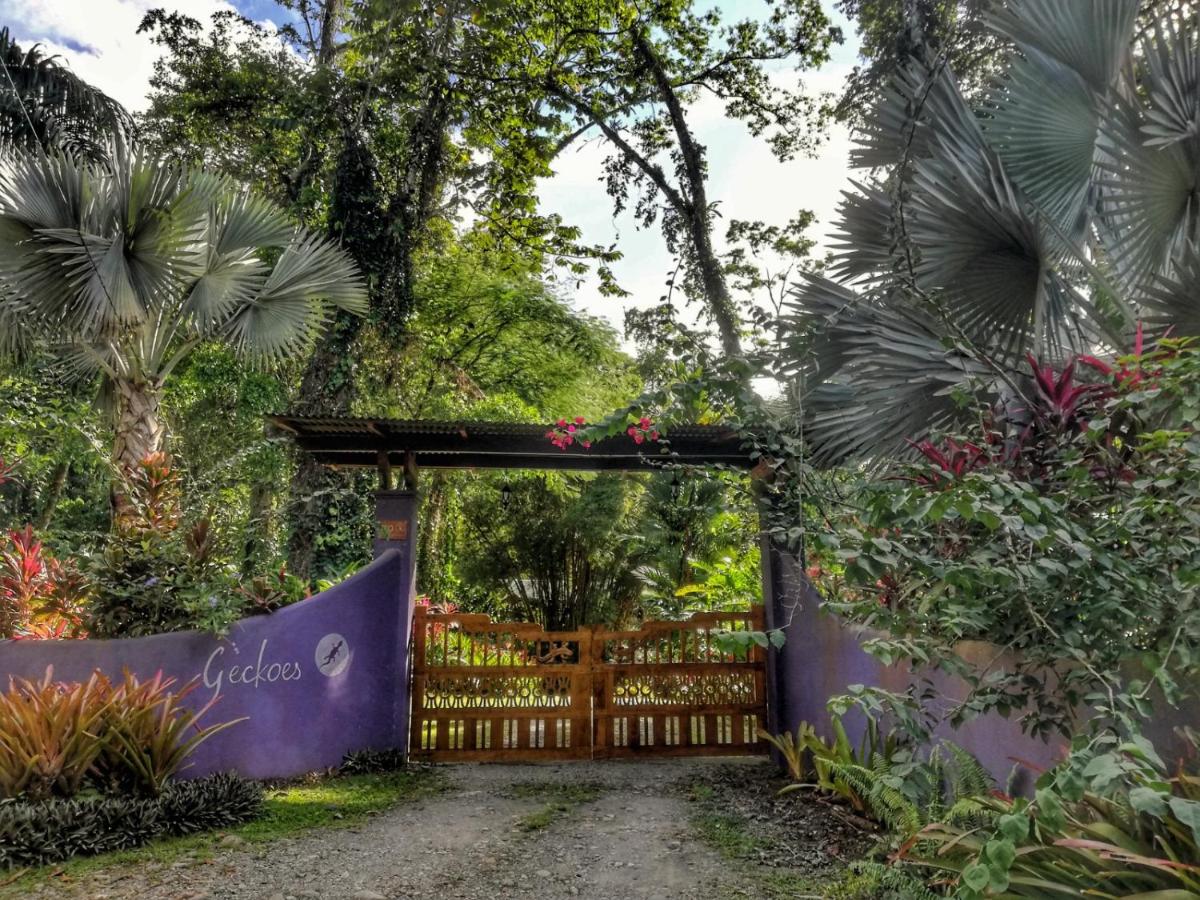 Geckoes Lodge - Housity