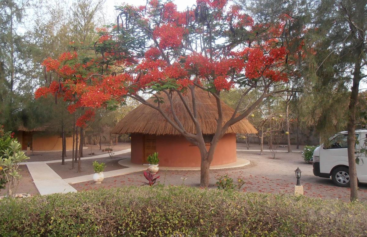 le baobab de nianing - Housity