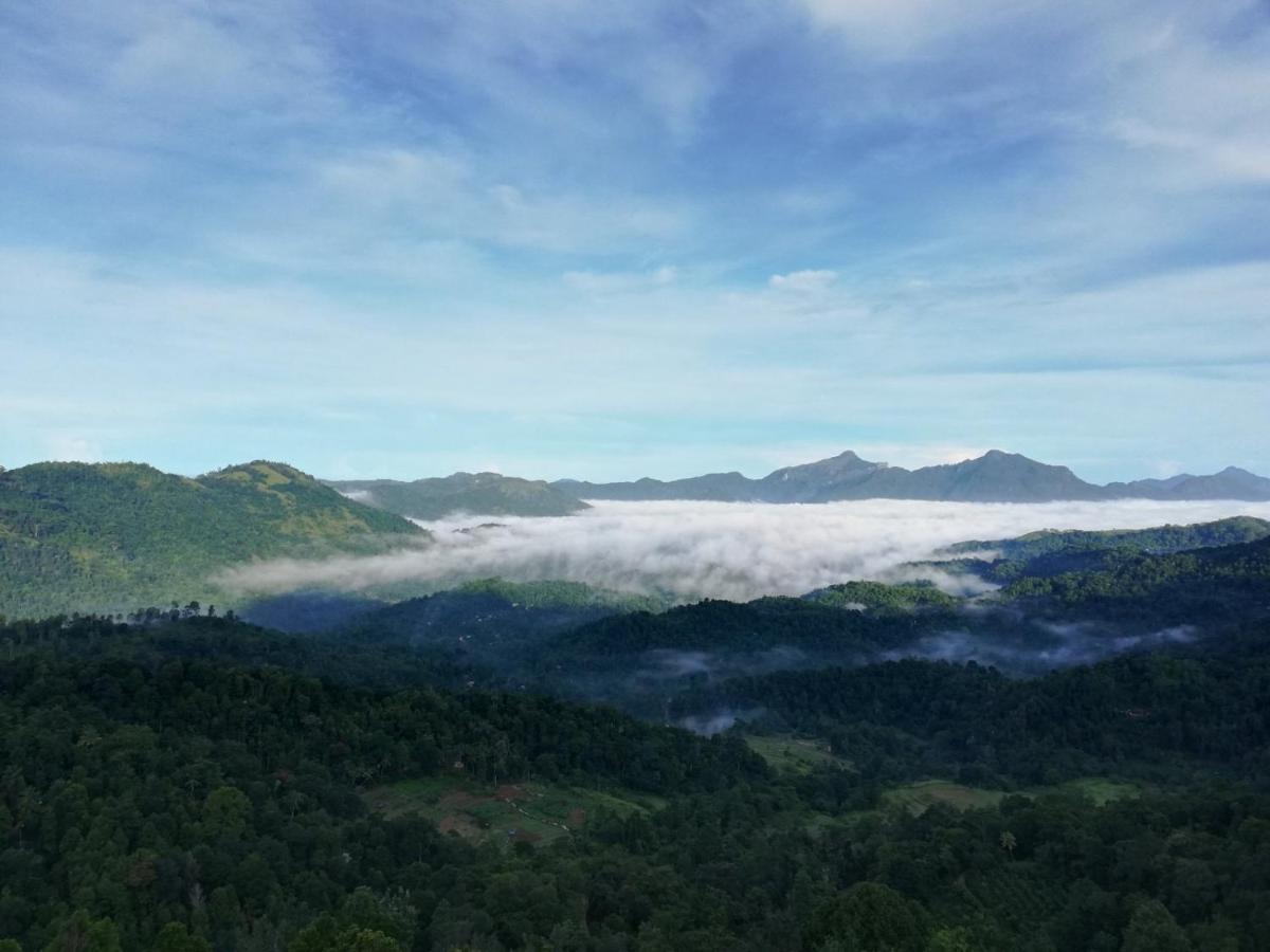 Green View Holiday Resort - Housity