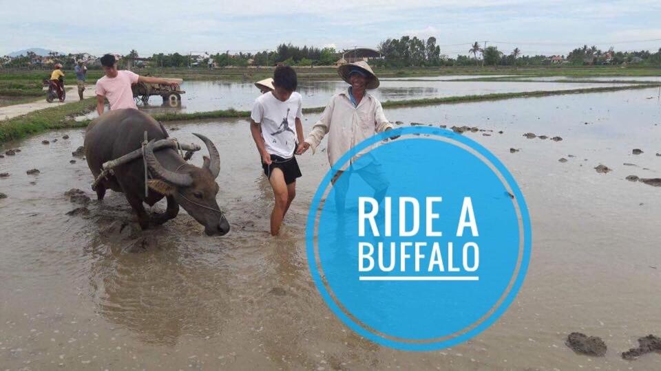 Suitetrails - The Moon River Homestay & Villa