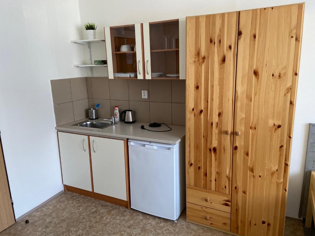 Apartmány Přemyslova - Housity