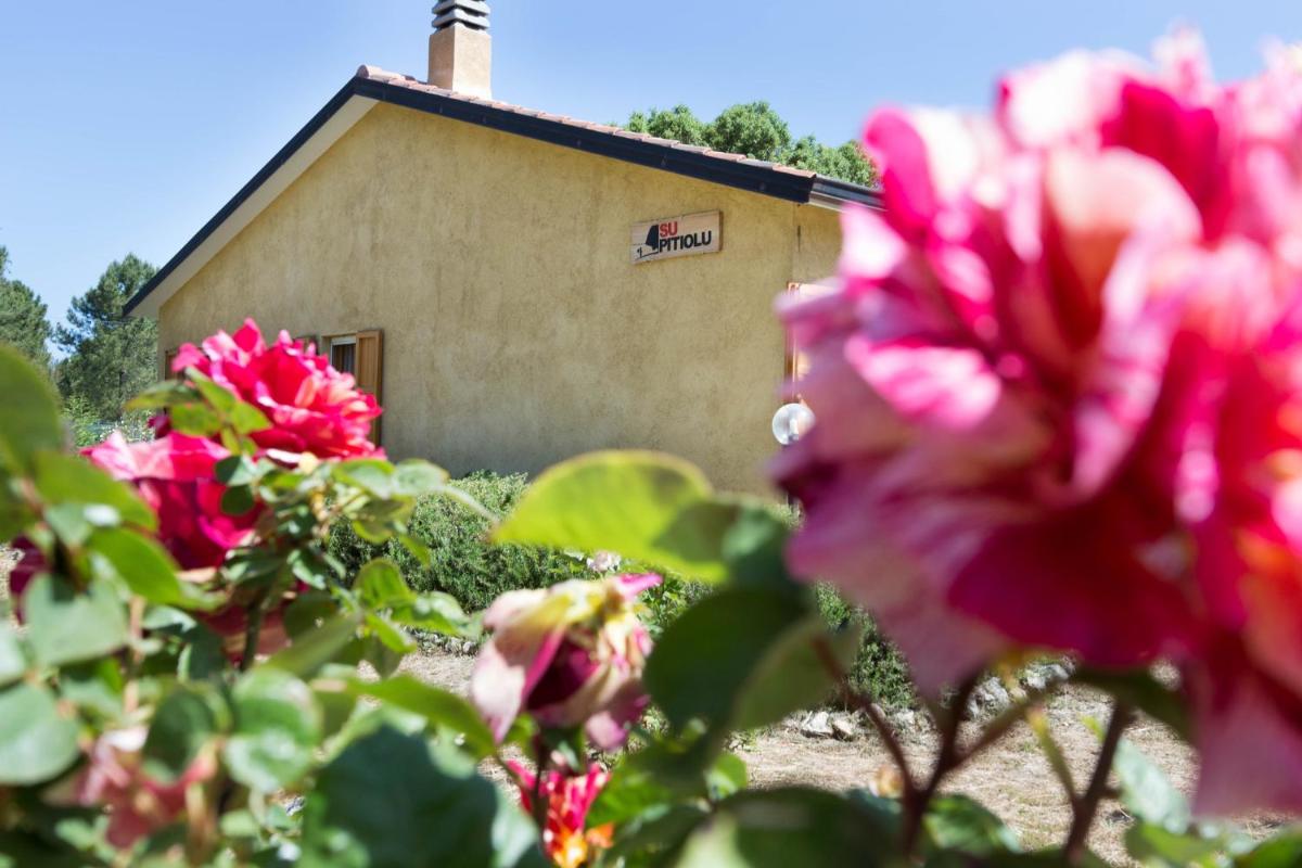 Su Pitiolu - casa vacanze - Housity