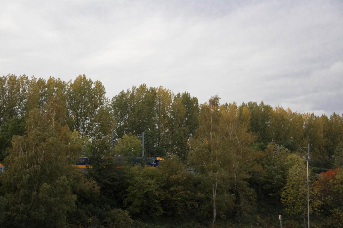 B&B Mondriaan - Housity