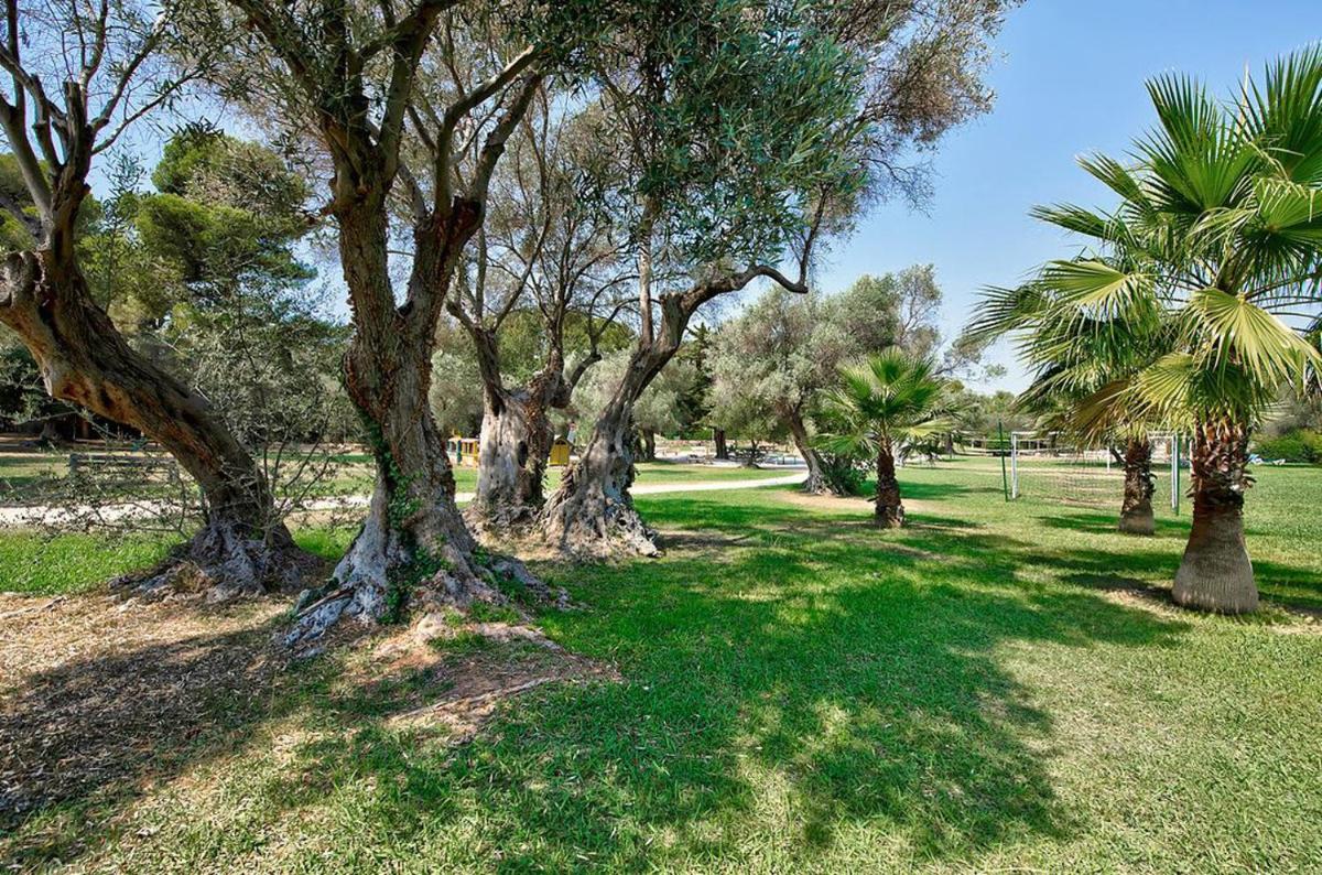 Jardin de l'établissement Hôtel Club la Font des Horts