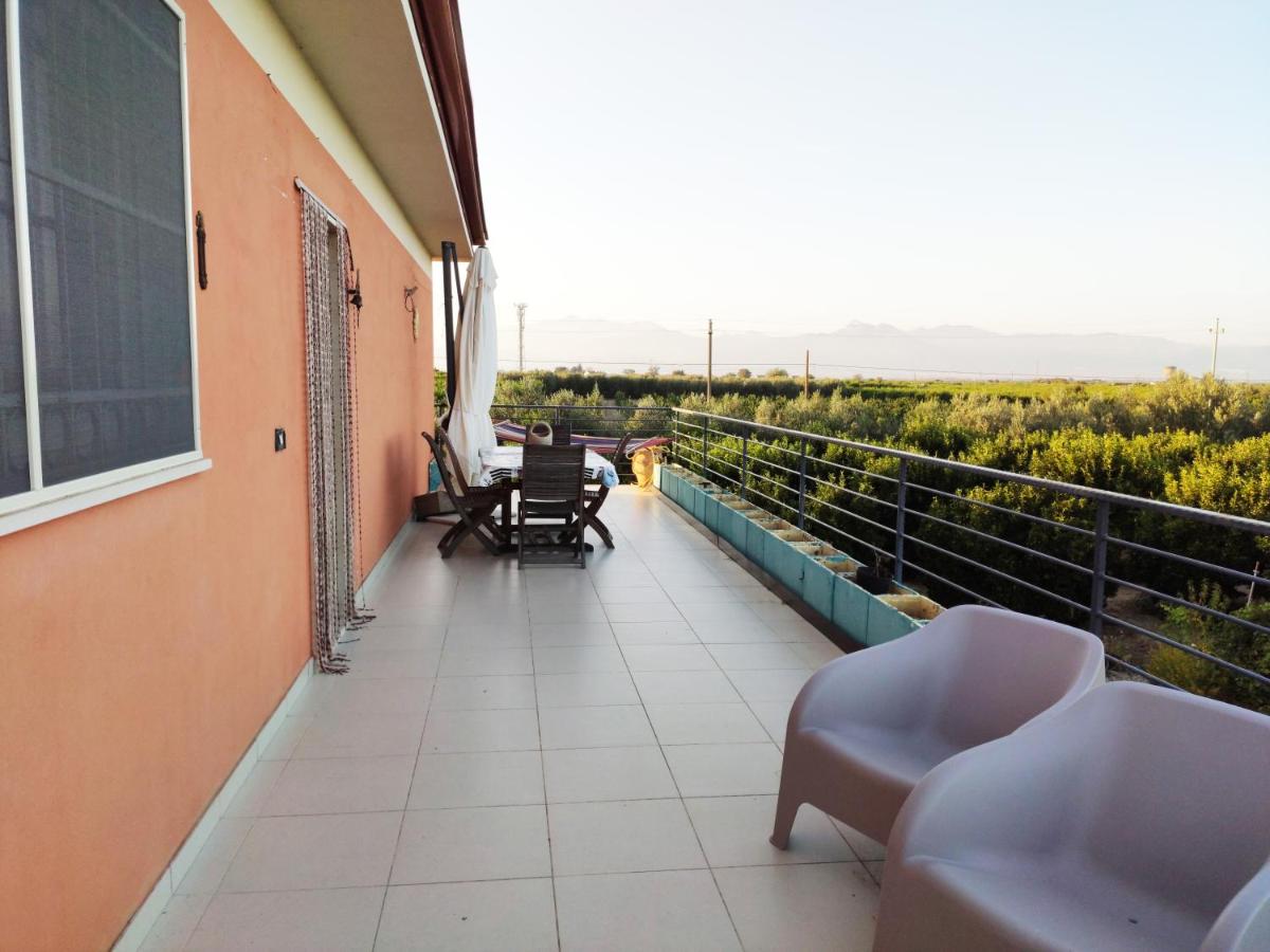 Villetta tra gli agrumeti - Housity