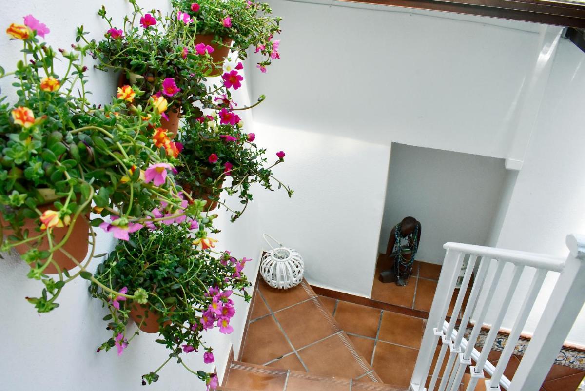 Casa Calma Ronda Estudio - Housity