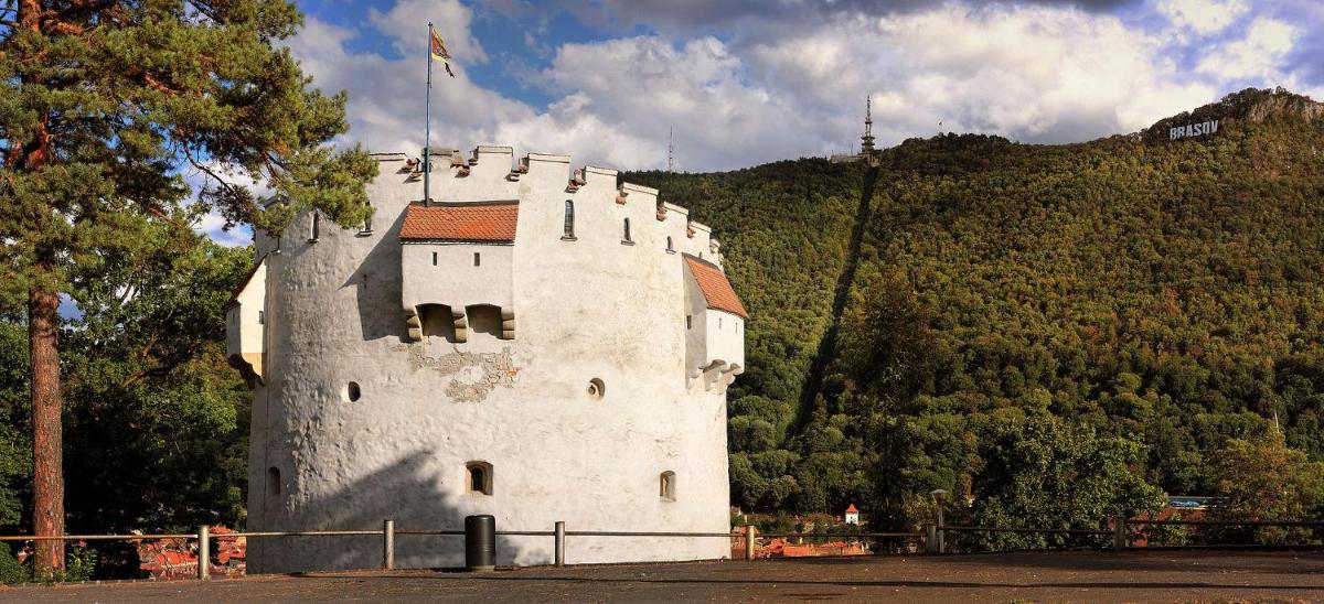 Brasov Kronstadt Garden Studio - Housity