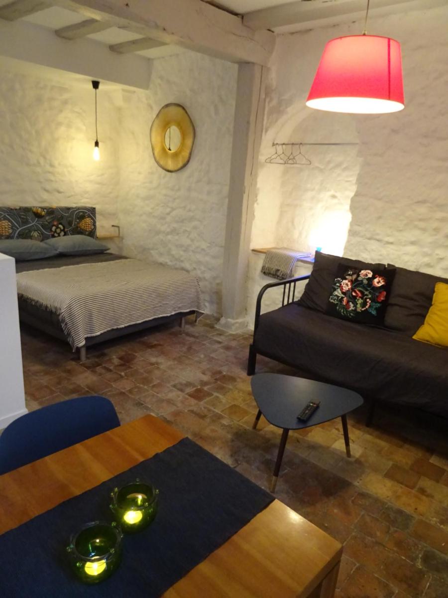 Appartement spacieux avec une vue sur Tours ( 38m²) -Gite de Bellevue - Housity