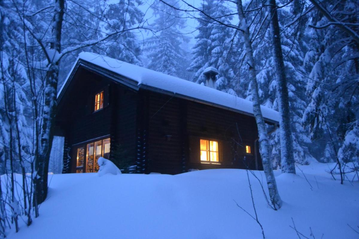 Ferienhütte Hochalm - Housity