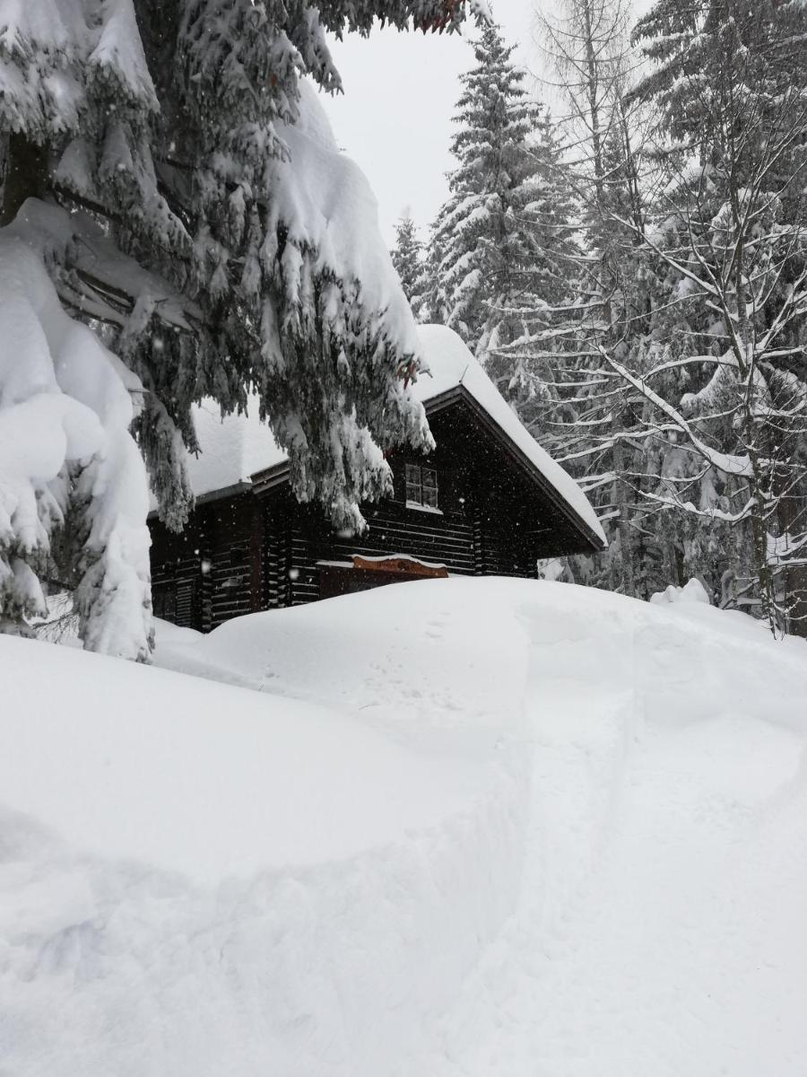 Ferienhütte Hochalm - Housity