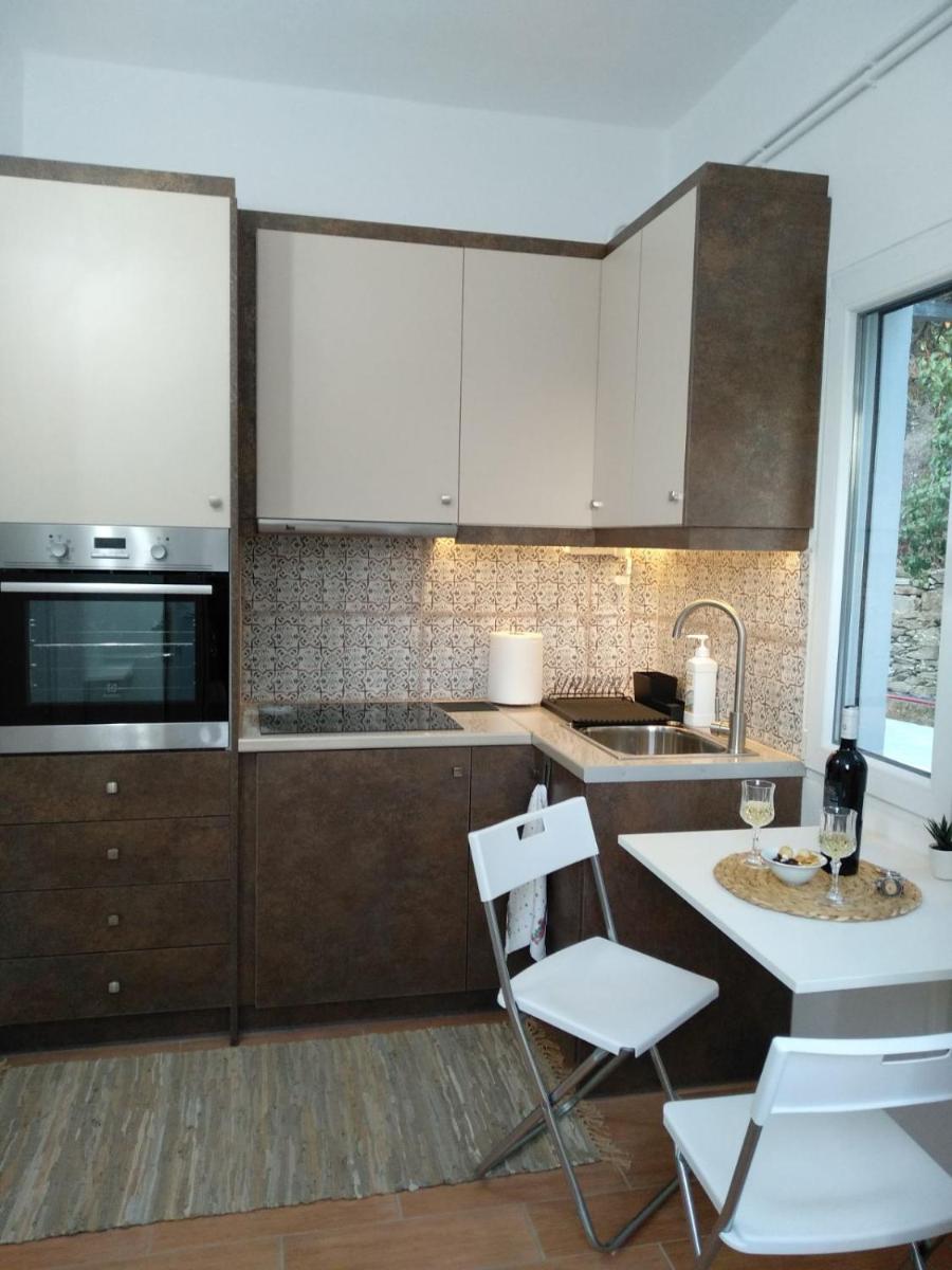 House with beautiful garden in Plomari - Housity