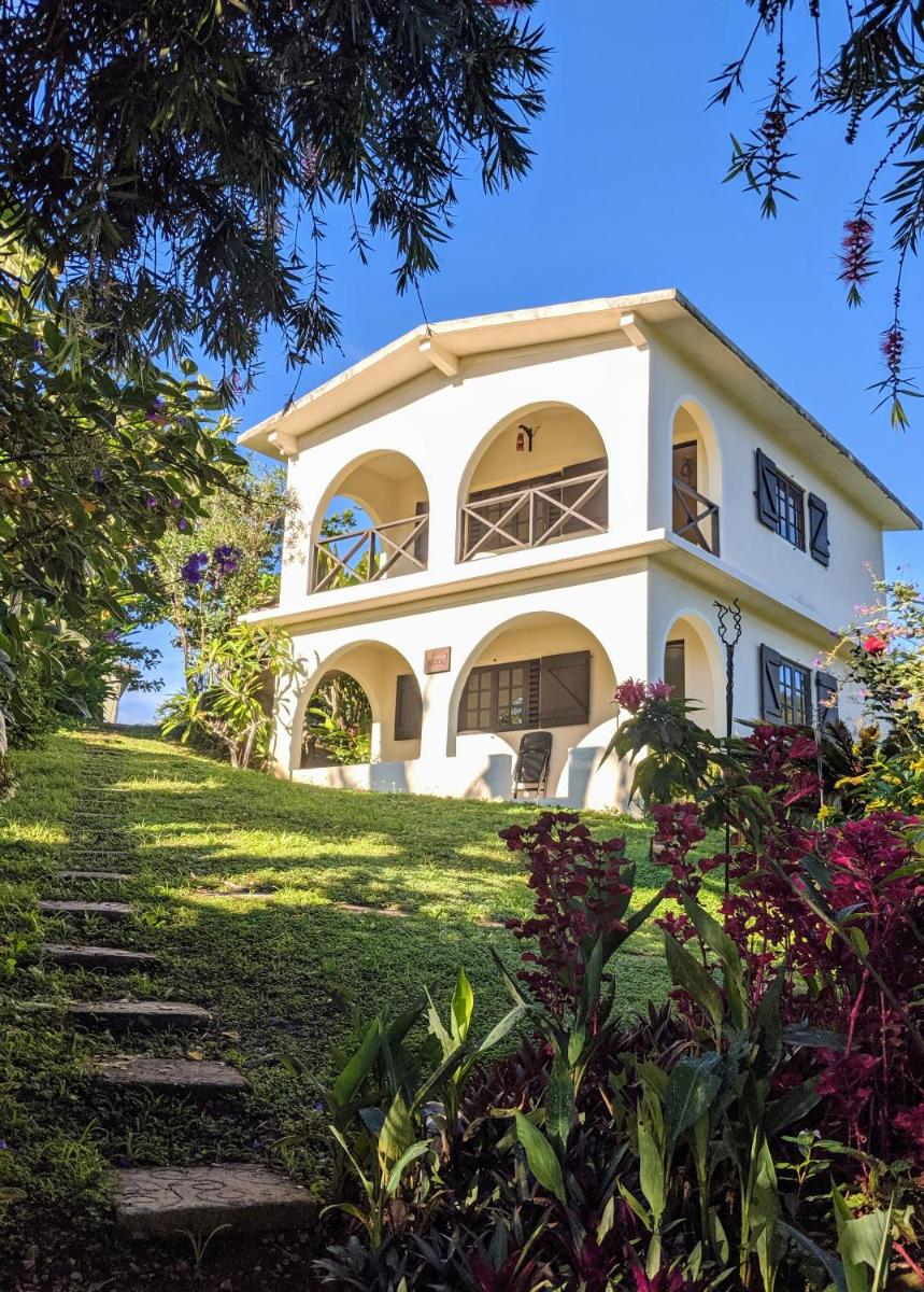 Lime Tree Farm, Blue Mountains - Housity