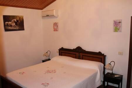 Podere Pini - Housity
