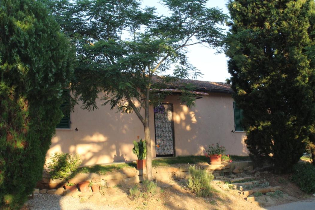 Podere Pini - Housity