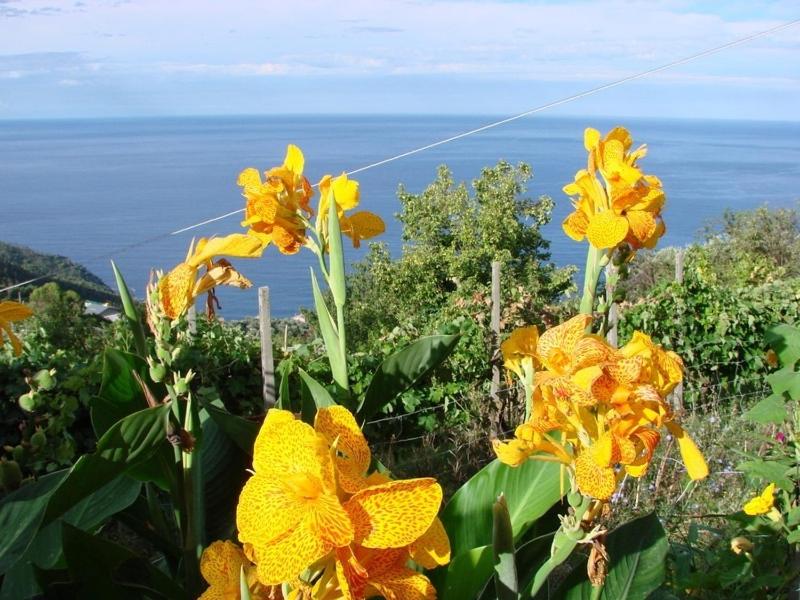 Suitetrails - Case vacanza Reggimonti Cinque Terre