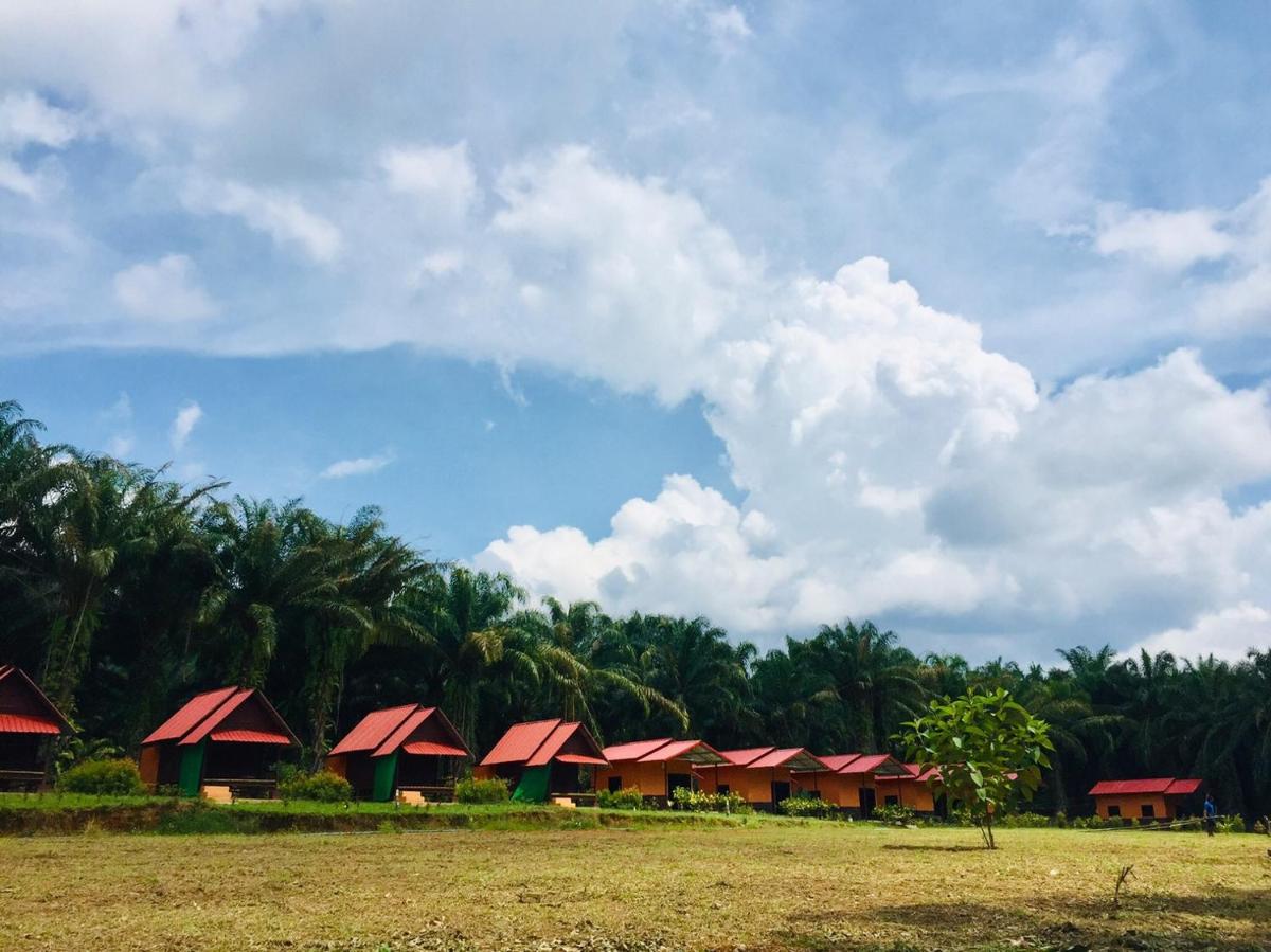 Khao Sok Evergreen House - Housity
