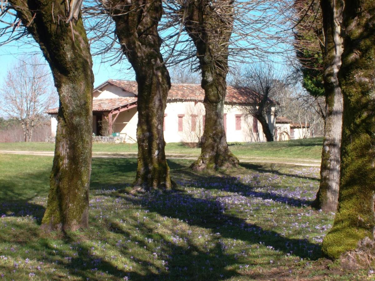 La loge du chateau - Housity