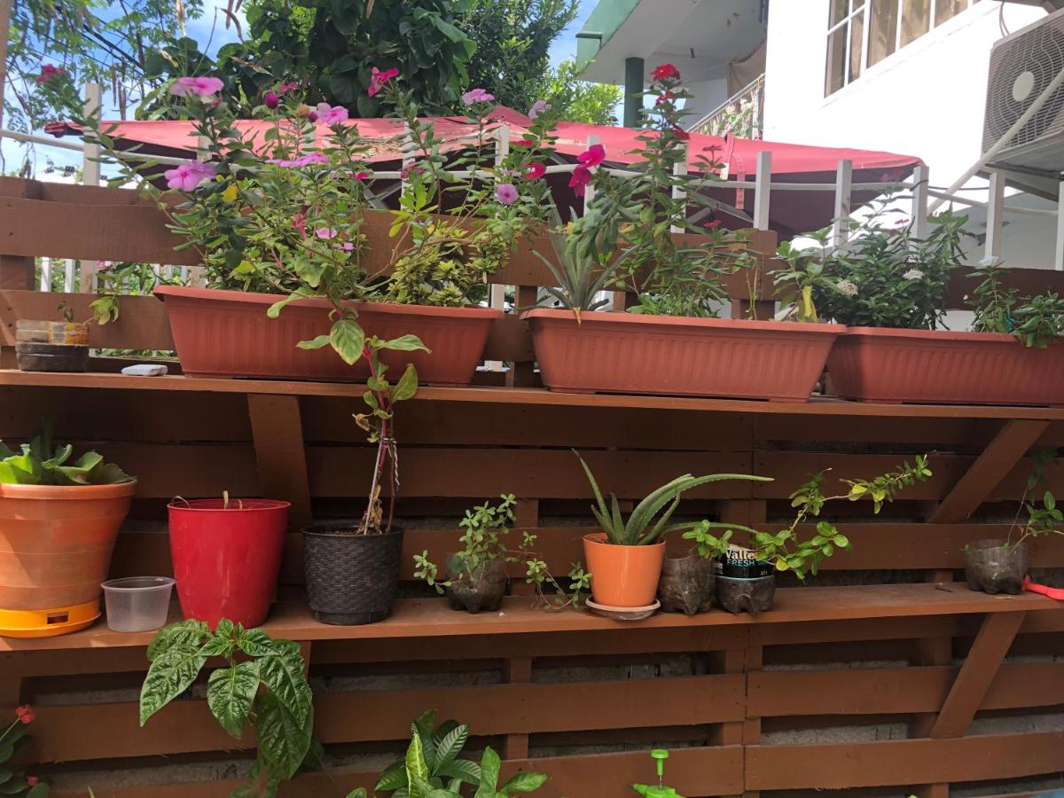 Apartment Golden Beach - Housity