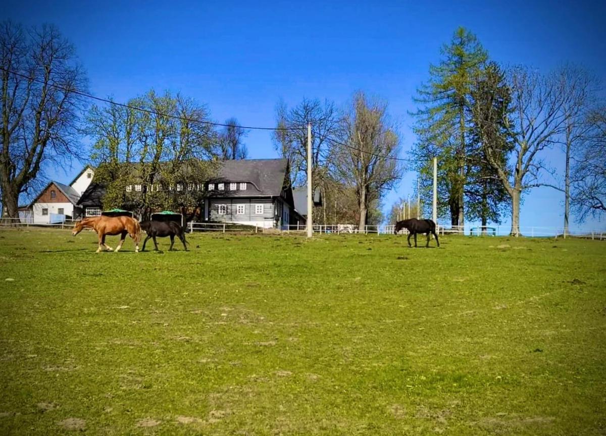 Statek Kaštan - Housity
