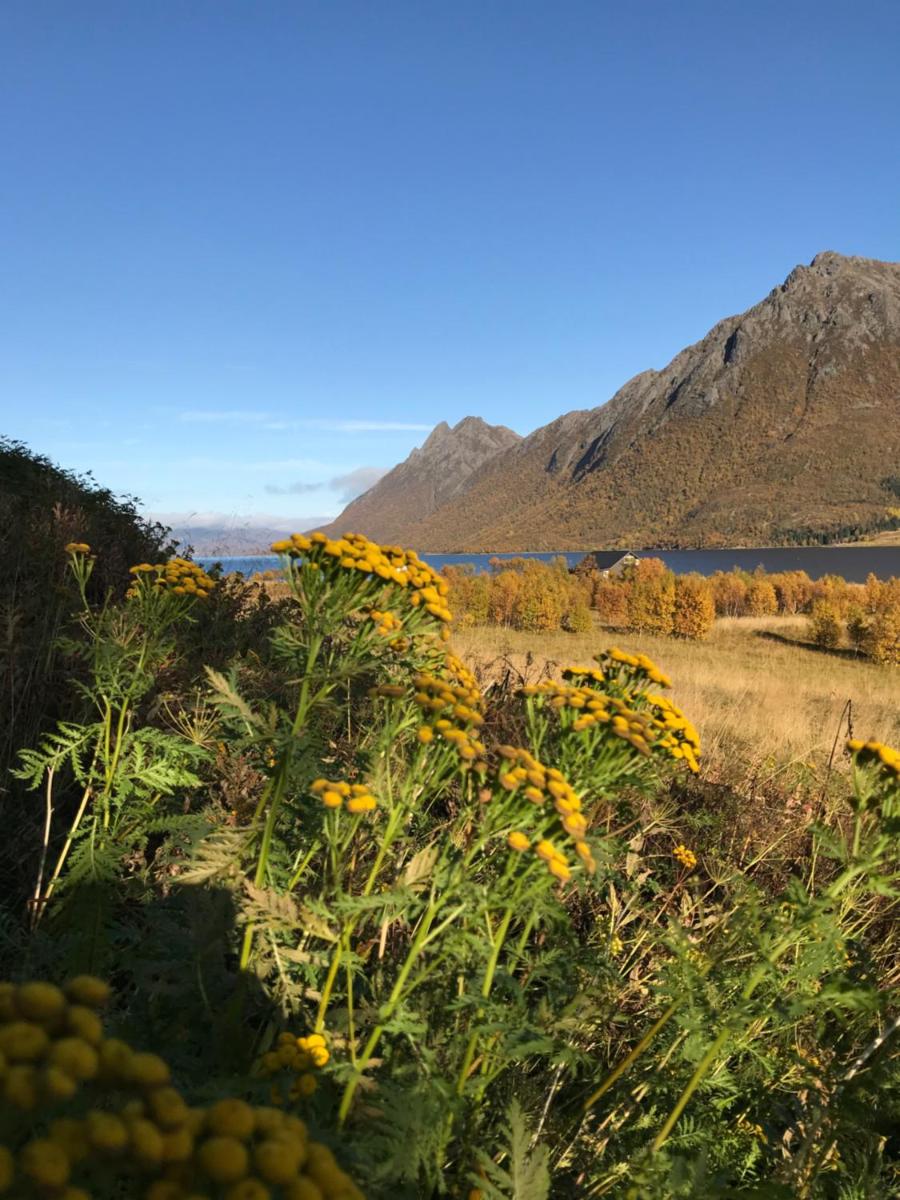 Nordstrand Panorama - Housity