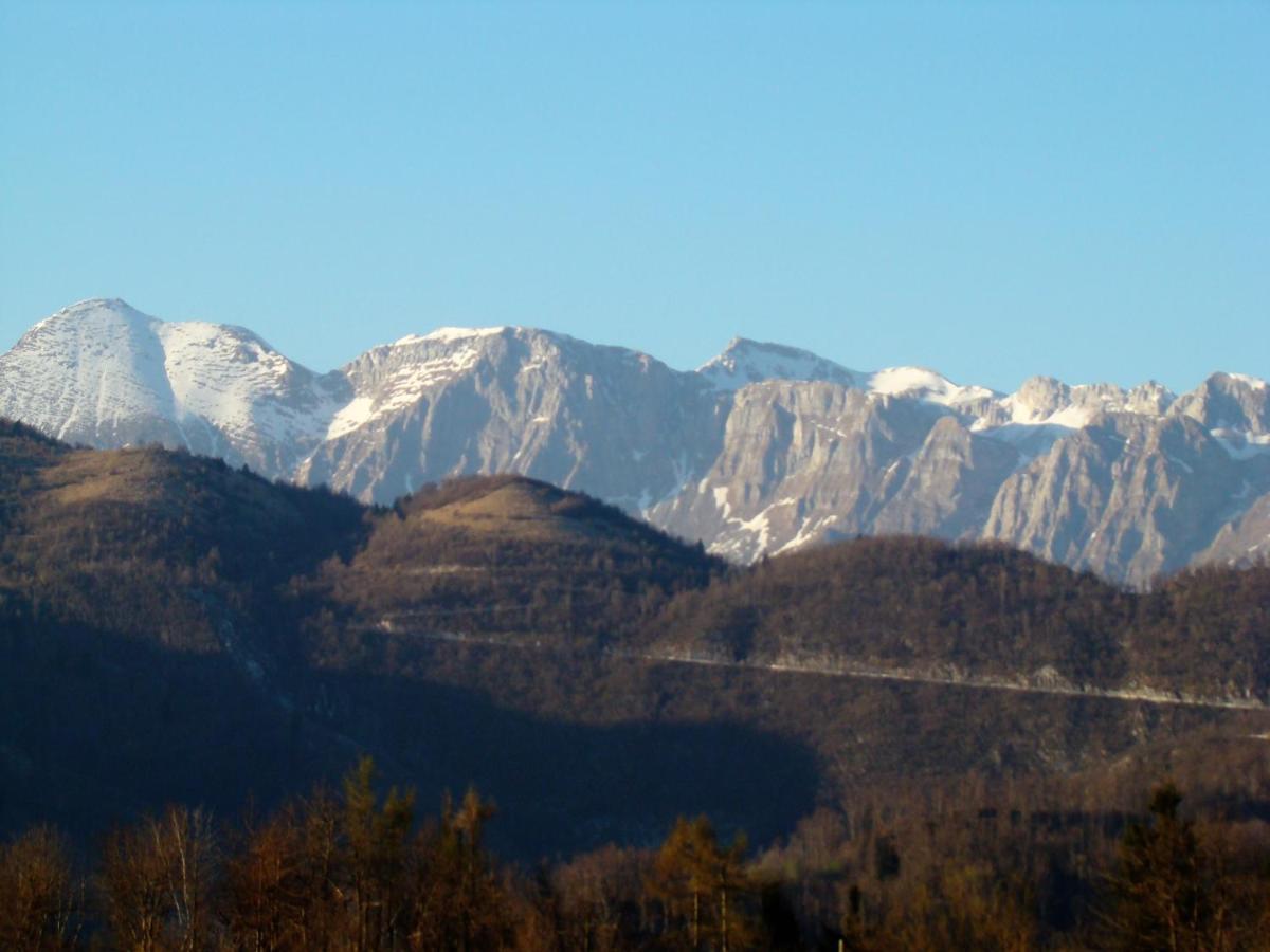 Apartmaji Nena - Housity